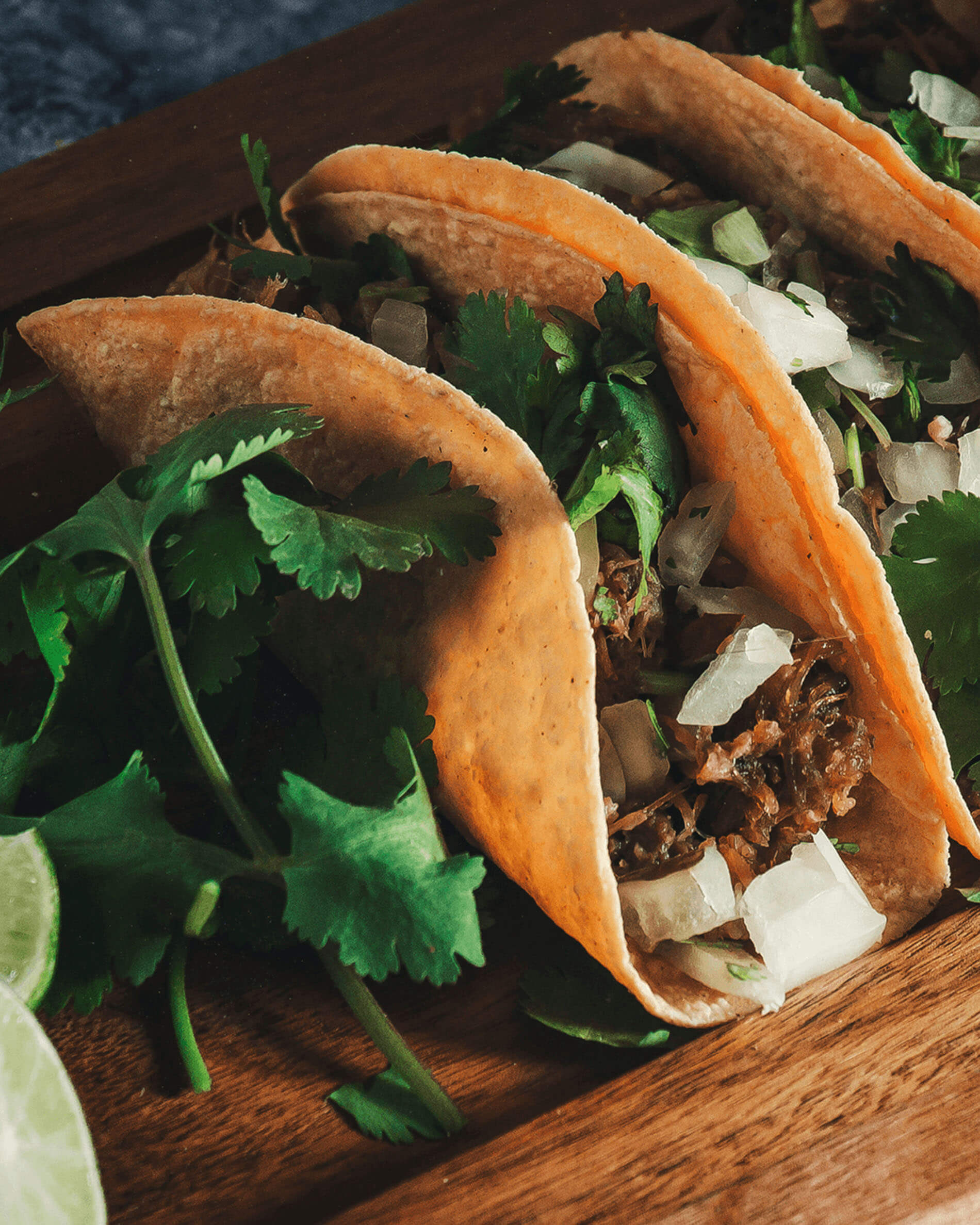 Tacos auf Edelstahl-Taco-Halter